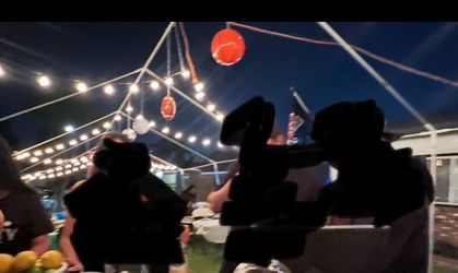 12 Pack Assorted Inflatable Sport Ball Decor