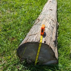 Cedar Log 22' Long For Sale 