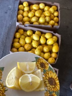 Organic Meyer Lemon