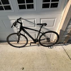 Giant Roam Bike
