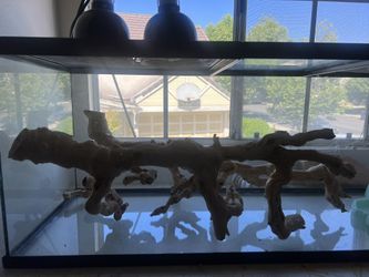 Reptile Tank