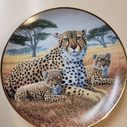 Plato Decorativo  Cheetah and  Cubs