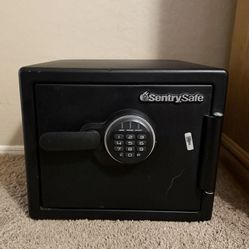 Sentry Safe
