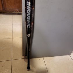 Baseball Bat 34