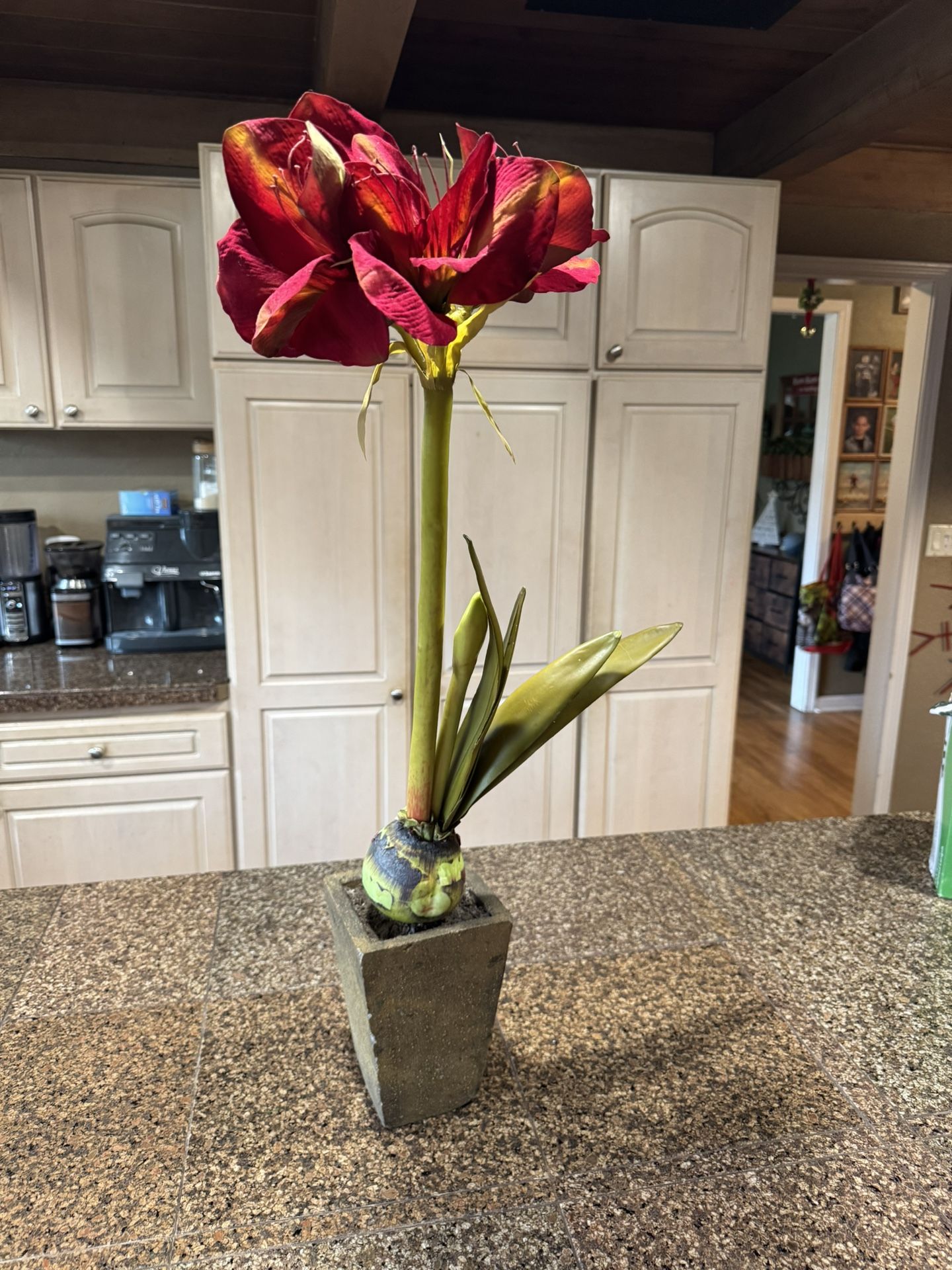 Amaryllis Christmas Faux Flower In Pot