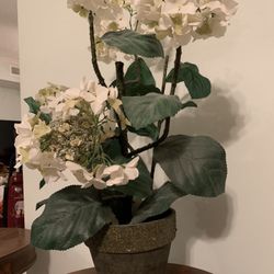 Beautiful Fake Magnoila Tree 