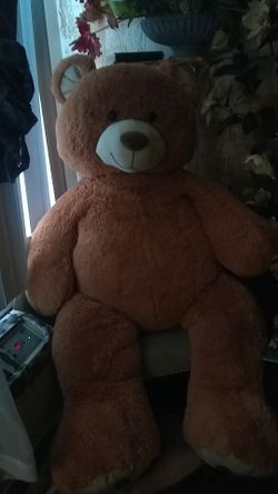 Big teddy bear