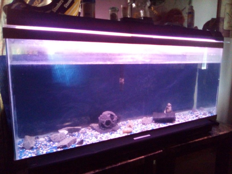 55 Gallon Fish Tank Filter And Accessories A