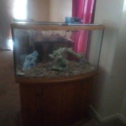 Fishtank
