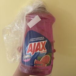 Dish Wash Soap & Sponge 