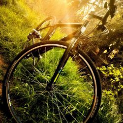 TREK w/700 Series 