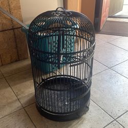 Bird cage