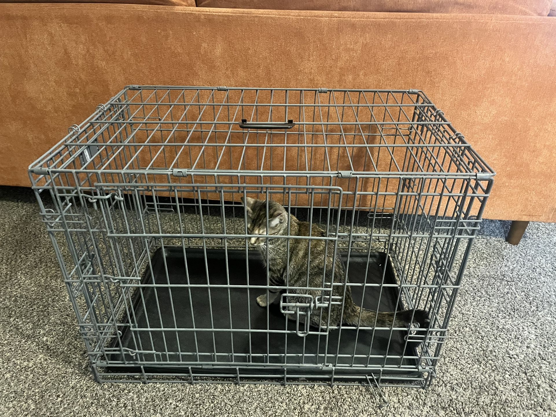 3 door dog kennel