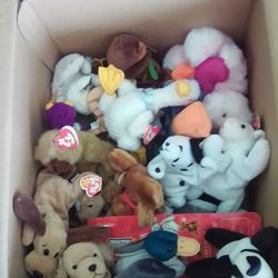 Box Of Beanie Babies 