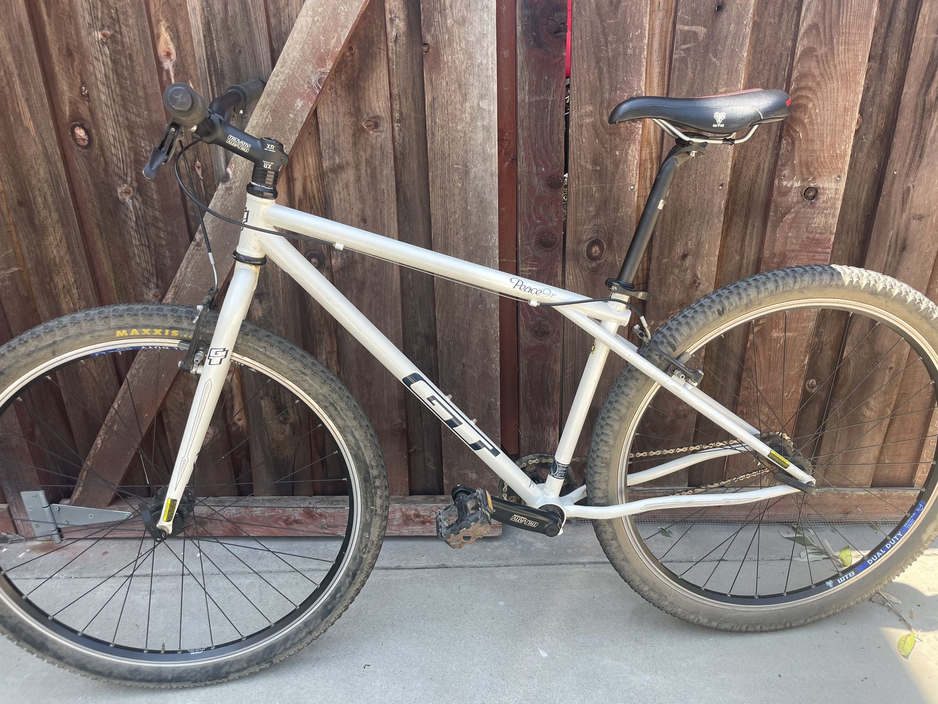 GT peace 9r Single Speed Mountain Bike