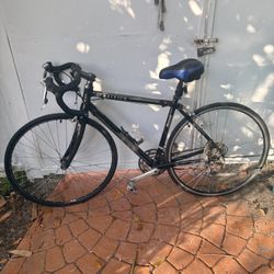 Old Raleigh Road Bike