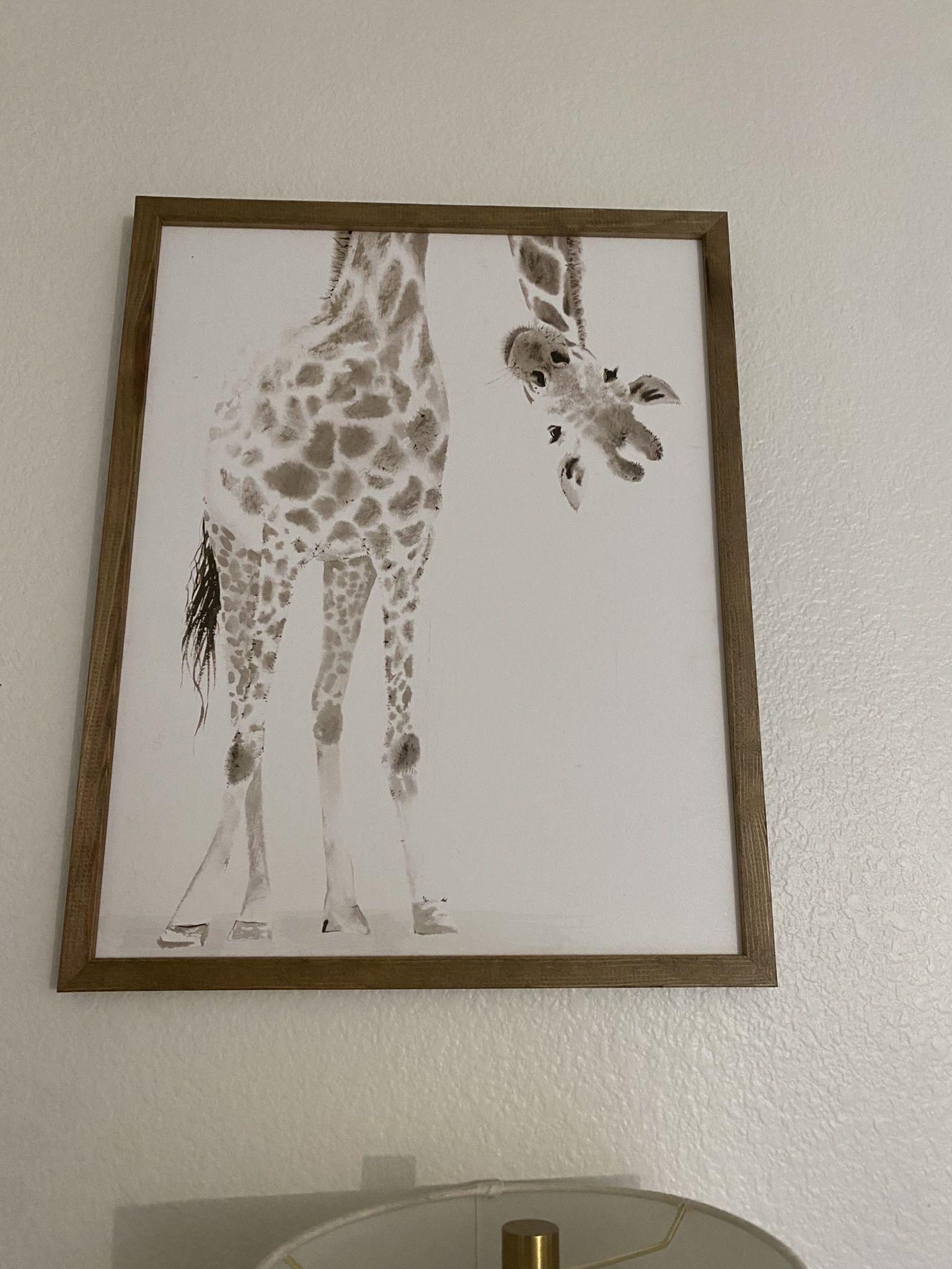 Giraffe Photo