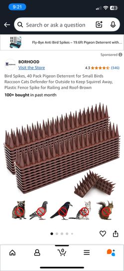 Bird Spikes