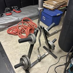 Pair of 35lb Olympic Plates