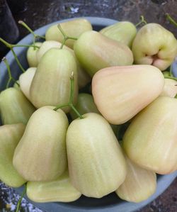 Wax apple latest vars 2026