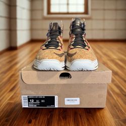 LeBron X EXT Cork QS Sz 12