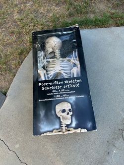 Halloween Skeleton Decoration