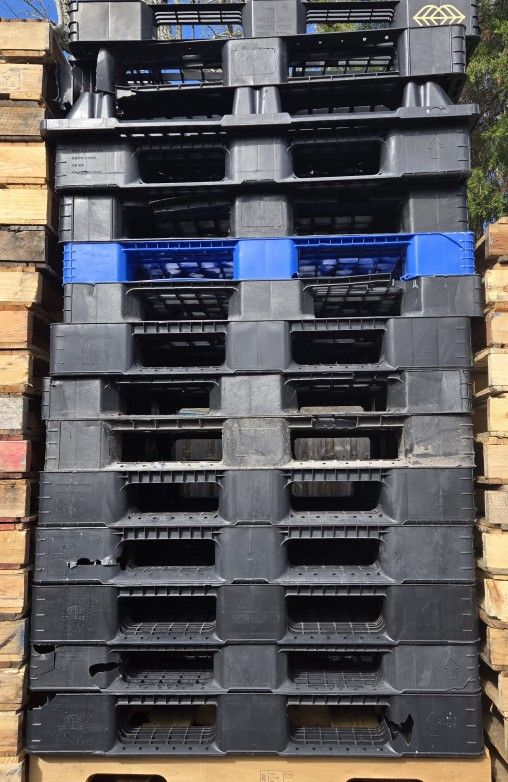 Plastic Pallets