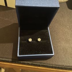 Moissanite Stud Earrings (GRE Approved)