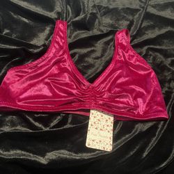 NWT Free People Size L Velveteen Pull Over Bra