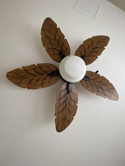 Fan With Light