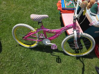 20 inch bike
