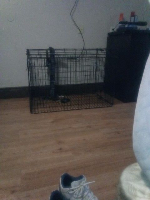 Dog Kennel Create