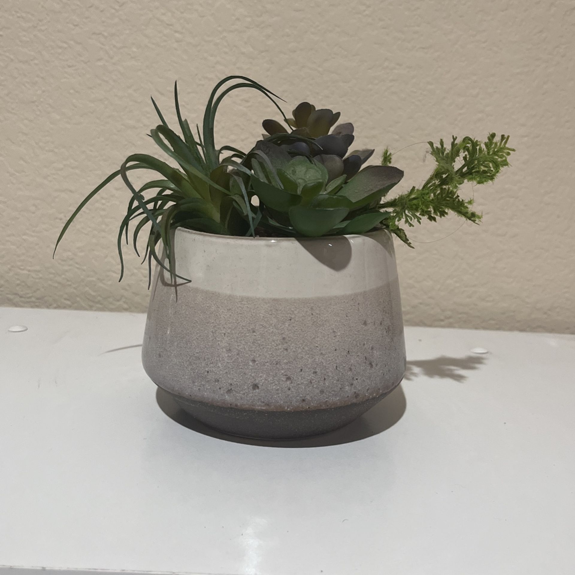 Fake Plant
