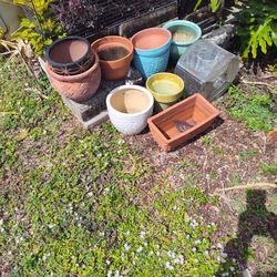 Lots Of Garden Things ..