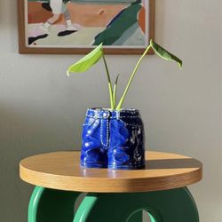 Ceramic Denim Jeans Planter + Baby Monstera Deliciosa