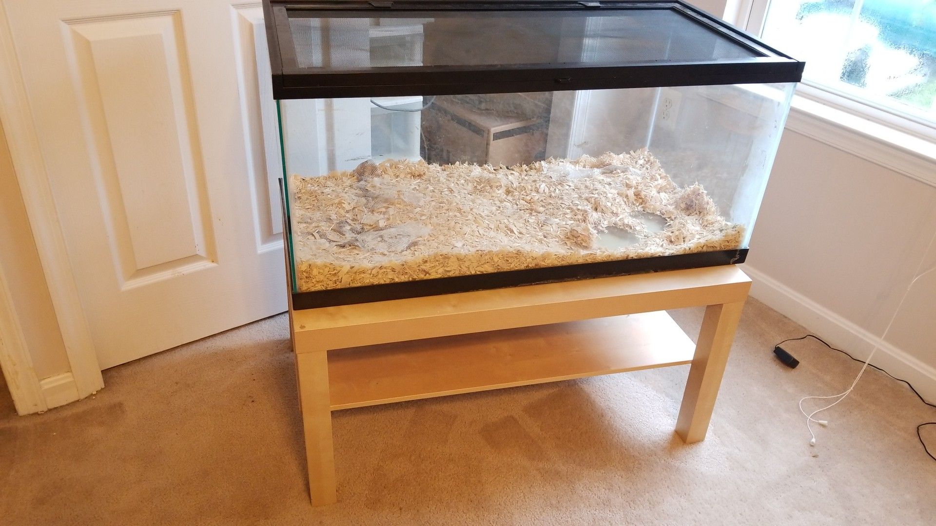 XL (40+gal) Reptile Aquarium