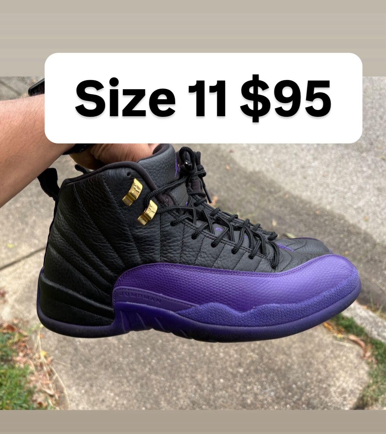 Jordan Retro 12s Purple Heart Size 11