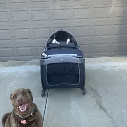 Infant Playpen