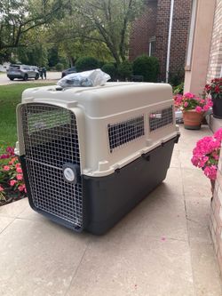 XXXL pet crate (48x38x32)