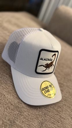 Gorras hats