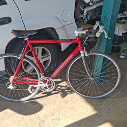 Specialized Racing Bike 