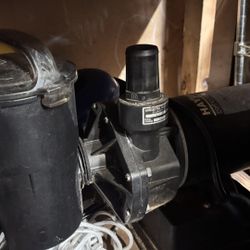 Hayward Pump