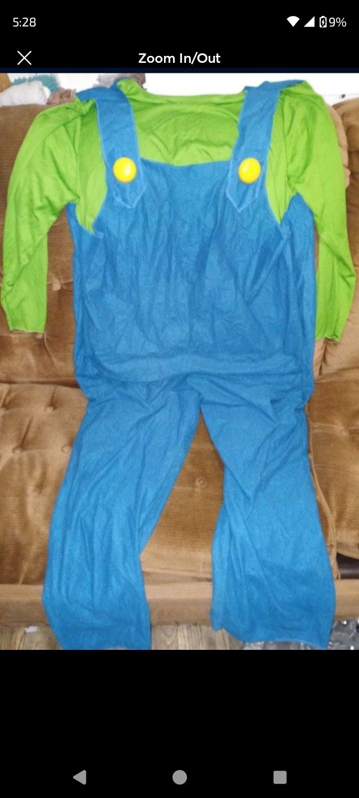 Luigi Costume