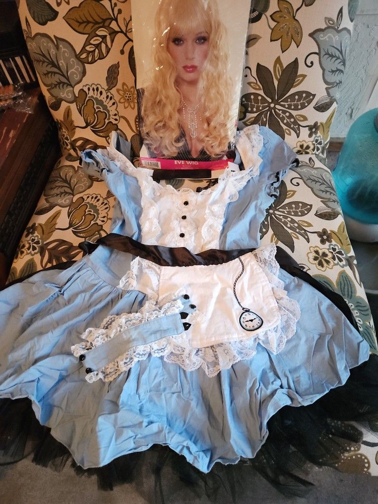 Alice In Wonderland - Halloween Costume