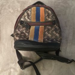 Coach Backpack ( Smaller Version ) 