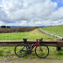 Canyon Ultimate CF SL