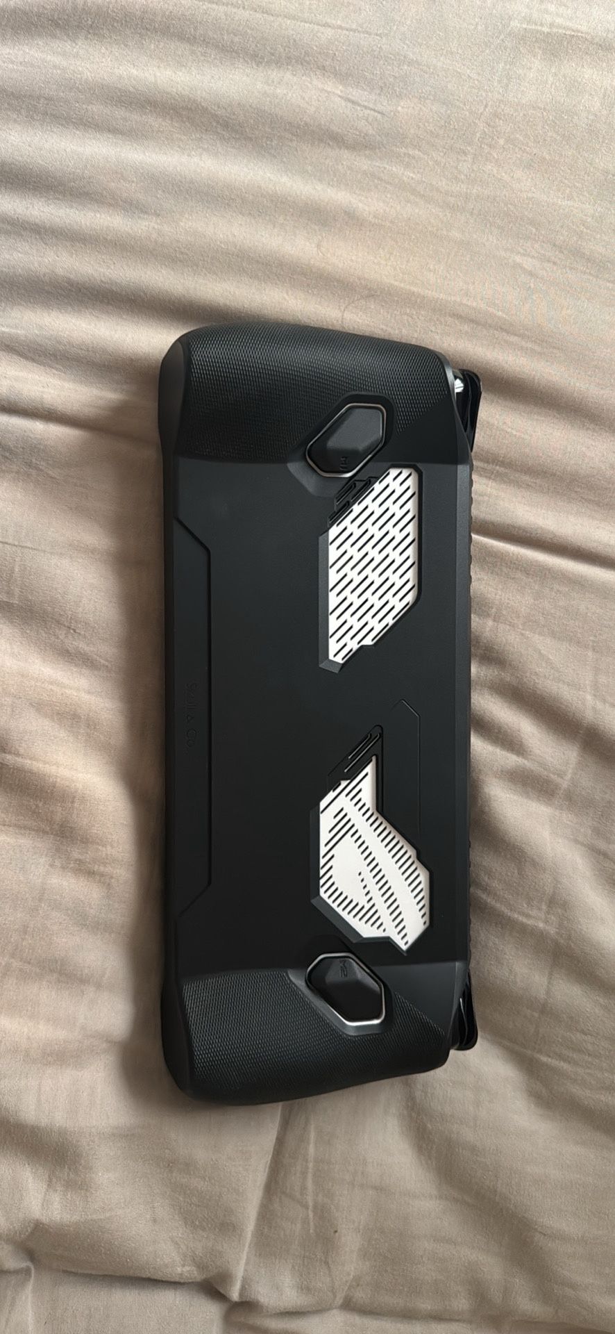 Asus Rog Ally 