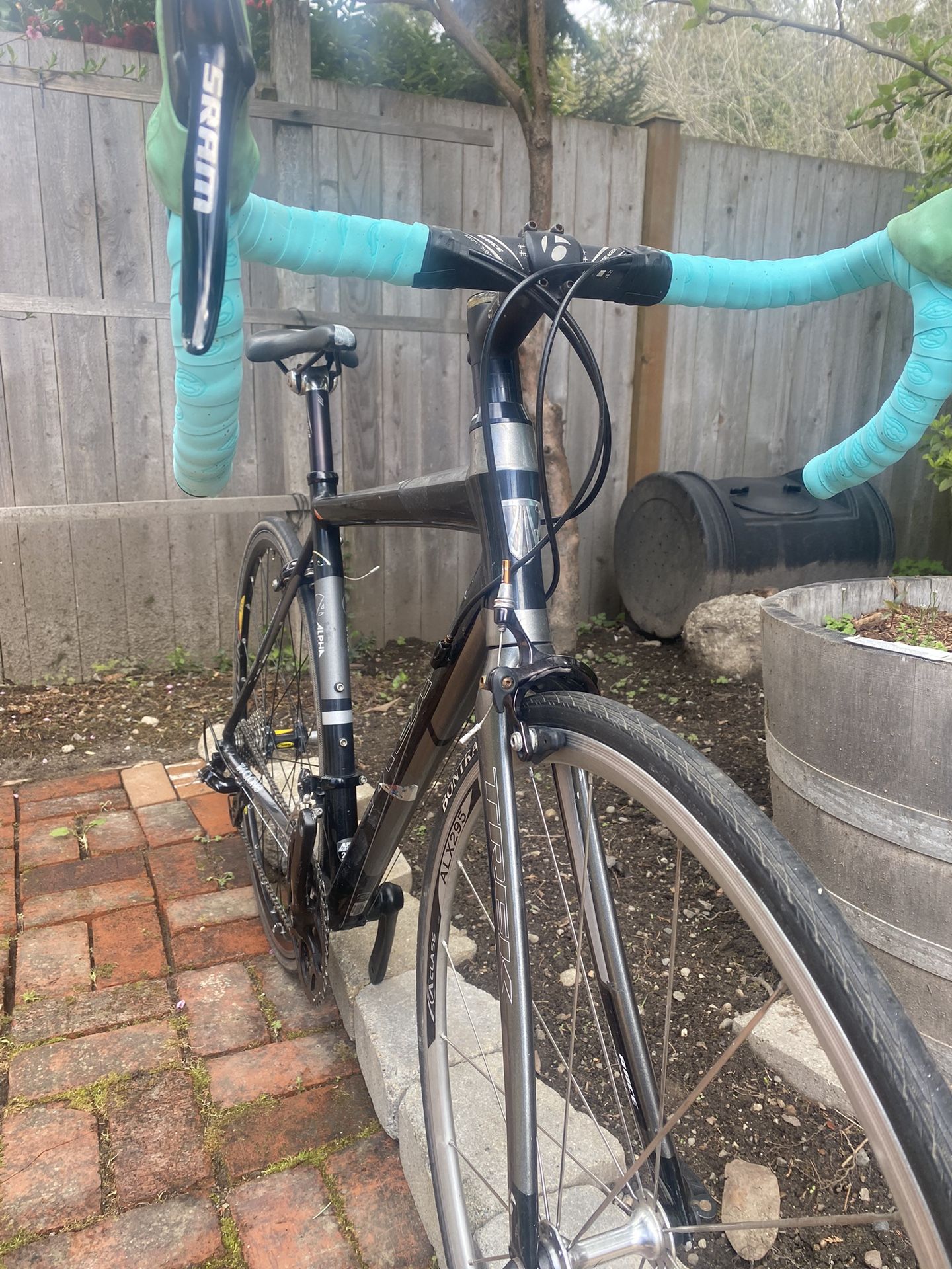 trek alpha road bike price