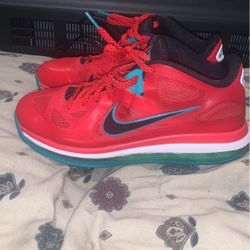 Firefly Red Le ‘ Bron Dunks 9.5