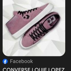 Converse Purple Velvet Mid Top Skater Shoes